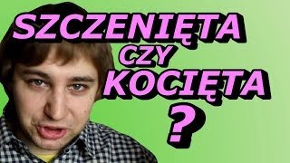 Kotki czy Szczeniaczki? - Okruchy Ogarniętości