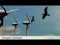 Renewable Energy and the Energy Transition