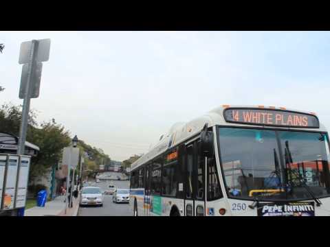 Bee-Line Bus: 40LFW Route 14 at NY119 & North Stone Ave