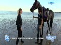 HORSE SURFING LES ANIMAUX DE La 8 -.mov