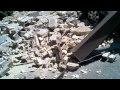 Dc / Virginia Earthquake Aftermath - Youtube