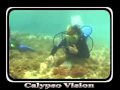 Discover Scuba Diving with Asia divers Puerto Galera Mindoro Philippines