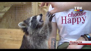 Летающий «котенок», енот Жужа и другие питомцы выставки «Animal park» ждут искитимцев в «Смайле»