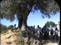 Italie Sicile découverte des Temples de Agrigente