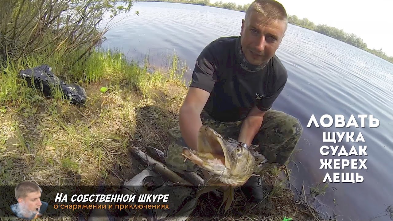 рыбалка на мшаге рыбалка на мшаге