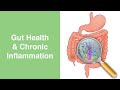 How Chronic Inflammation is Linked to Gut Health