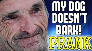 MY DOG DOESN'T BARK! - PRANK