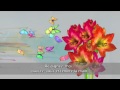 Fleurs et papillons