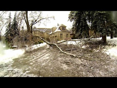 Freezing rain lasting all night with temps around -1C caused damage throughout all of the GTA. Fallen Trees, damaged houses and cars, power outages. Power is predicted to be out for 3 days. Bummer. 
Toronto, Ontario. December 21 22 2013.