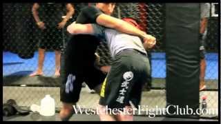 MMA Gyms in White Plains NY | 30 Days Free