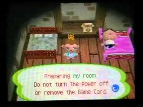 Animal Crossing Wild World Infinite money cheat. - YouTube