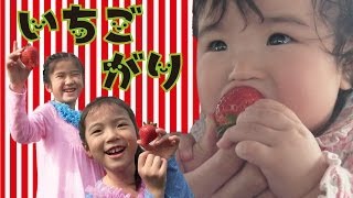 Kan & AKi 2014 イチゴがり♥ Strawberry Picking with Kan & Aki 2014