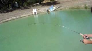 catching catfish
