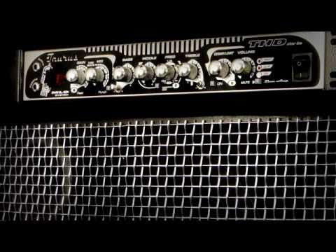 Taurus THD-450T lightweight powerful bass amp.