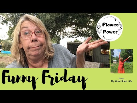Funny Friday and Flower Power