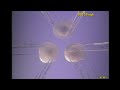 Riding the Booster with enhanced sound