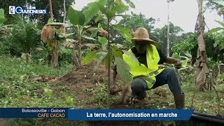 GABON / CAFE CACAO : La terre, l’autonomisation en marche