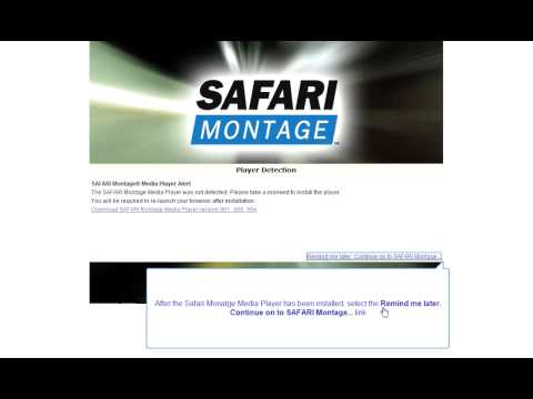 Safari Montage Media Player Vista - YouTube