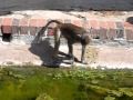 Video: Affe beim Angeln (2)