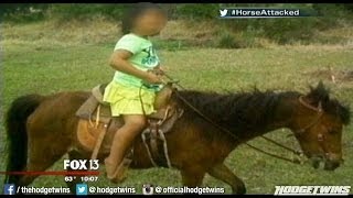 Girls Horse Attacked By Pit Bulls Reaction