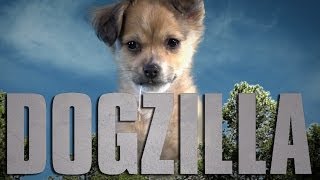 Godzilla (Cute Puppy Version)