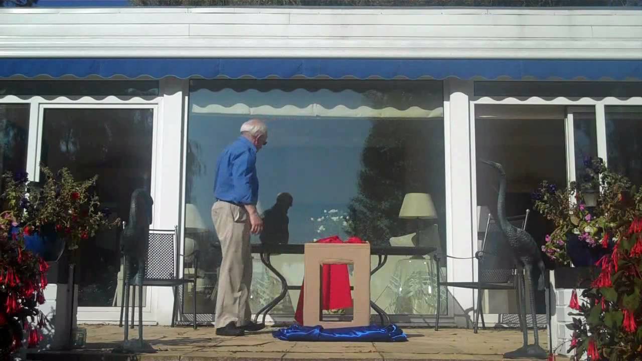 LEVITATION REVEALED levitation revealed: