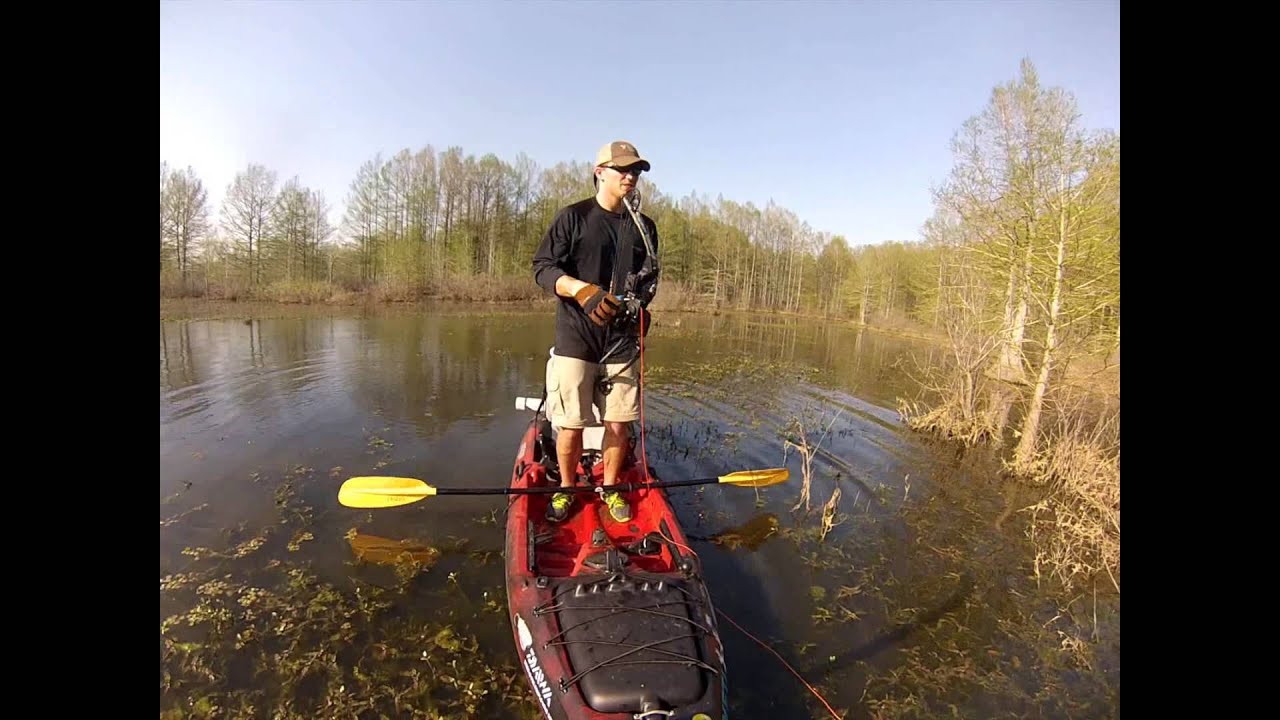 Kayak Bowfishing 4-15-13 - YouTube