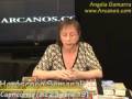 Video Horóscopo Semanal CAPRICORNIO  del 11 al 17 Enero 2009 (Semana 2009-03) (Lectura del Tarot)