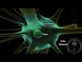 Neurone - partie 1