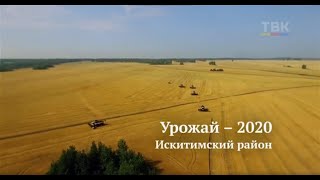 Урожай-2020. Искитимский район
