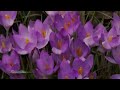 Calming sensation! - Spring ecards - Seasons Greeting Cards
