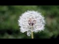 Kevin Seo's Editing Reel