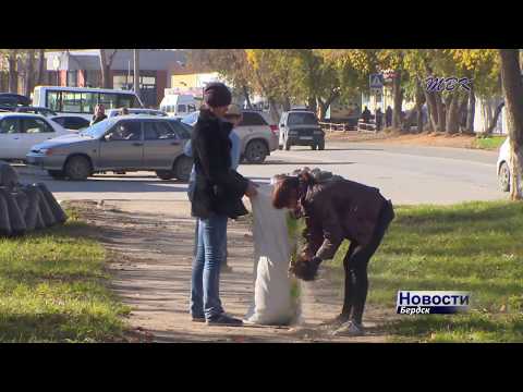 Делают свой город чище бердчане