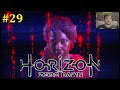 Horizon Zero Dawn Прохождение - Предсмертная просьба Геи #29