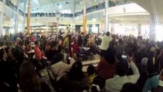 Orquesta Sinfónica de Xalapa Flash Mob