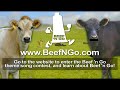 Beef 'n Go