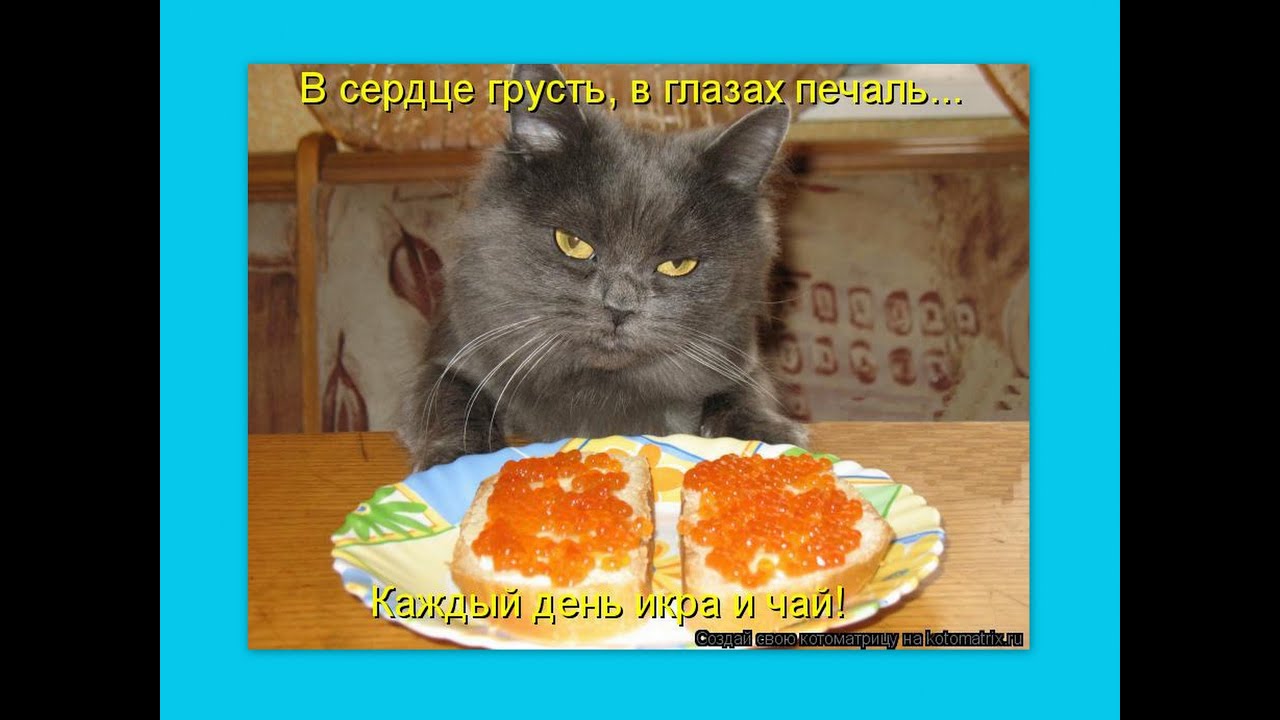 Не опять а снова почему так говорят Не опять а снова почему так говорят