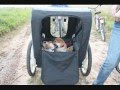 Shiba Inu socialisation des chiots