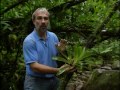 Martinique : 6 randonnées - Documentaire COMPLET