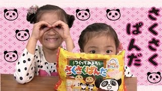 Kabayaさくさくパンダ Panda Chocolate Making Kit