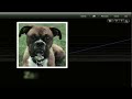 Motion 5 Getting Started Tutorial