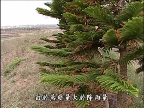 我們的島 第246集 水的代價 (2004-03-22) - YouTube pic