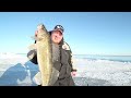 Ice Fishing - Mille Lacs Slot Walleyes