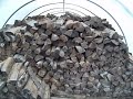 A Wood Shed Hoop House ! Why Not?