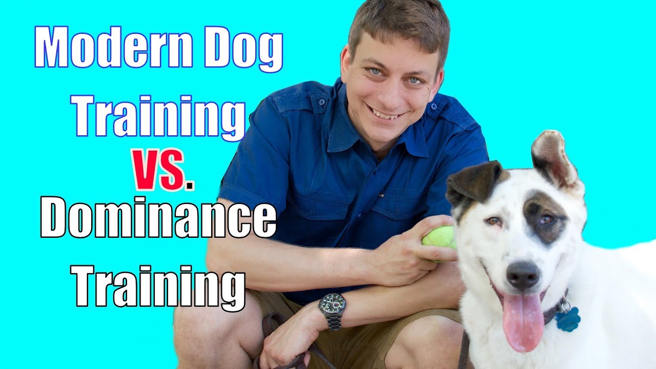 The Dominance Myth in Dog Training Explained YouTube