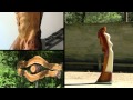 Les Sculptures Musicales : Diaporama dynamique HD 1080 p