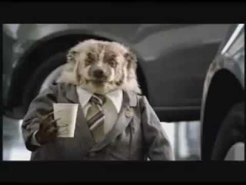 "Wiggle Room" Grady the Badger Johnson Automotive Commercial - YouTube