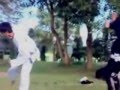 sh terate vs taekwondo Taekwondo vs PSHT album artwork