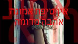 ♥~ תמיר גל - ניבין  _  נשבענו ביחד ♥~