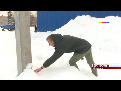 Безвозмездно раздаёт сладкие подарки землякам искитимский студент